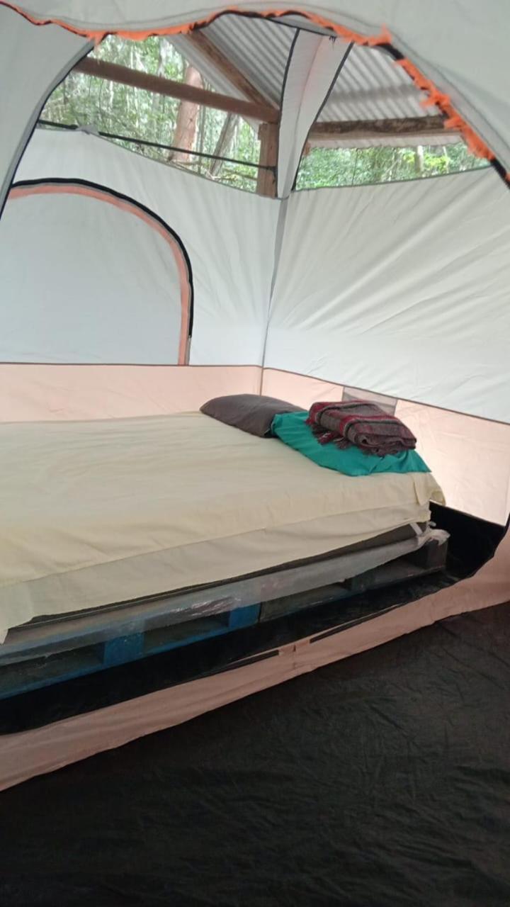 Campamento Yaax Che En Calakmul Conhuas Quarto foto