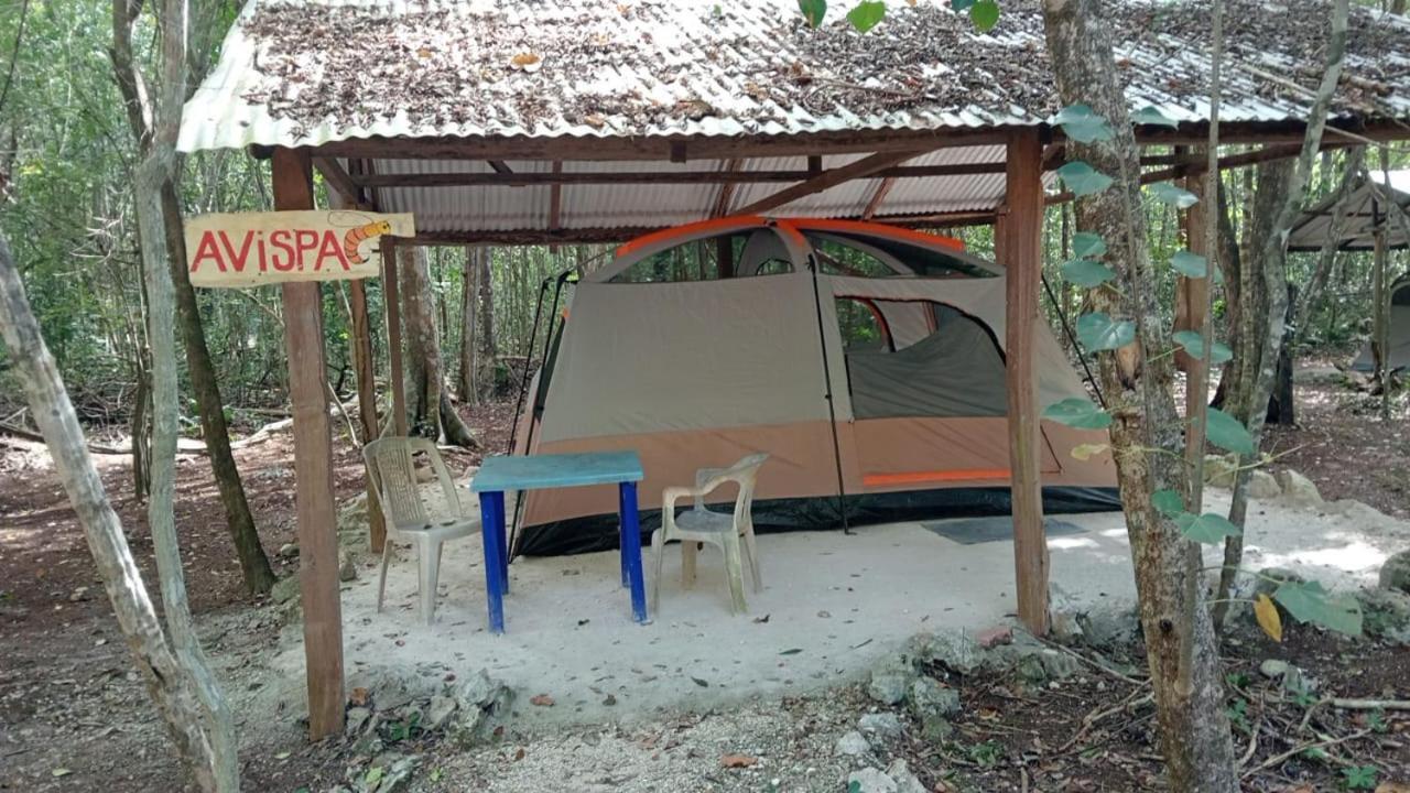 Campamento Yaax Che En Calakmul Conhuas Quarto foto
