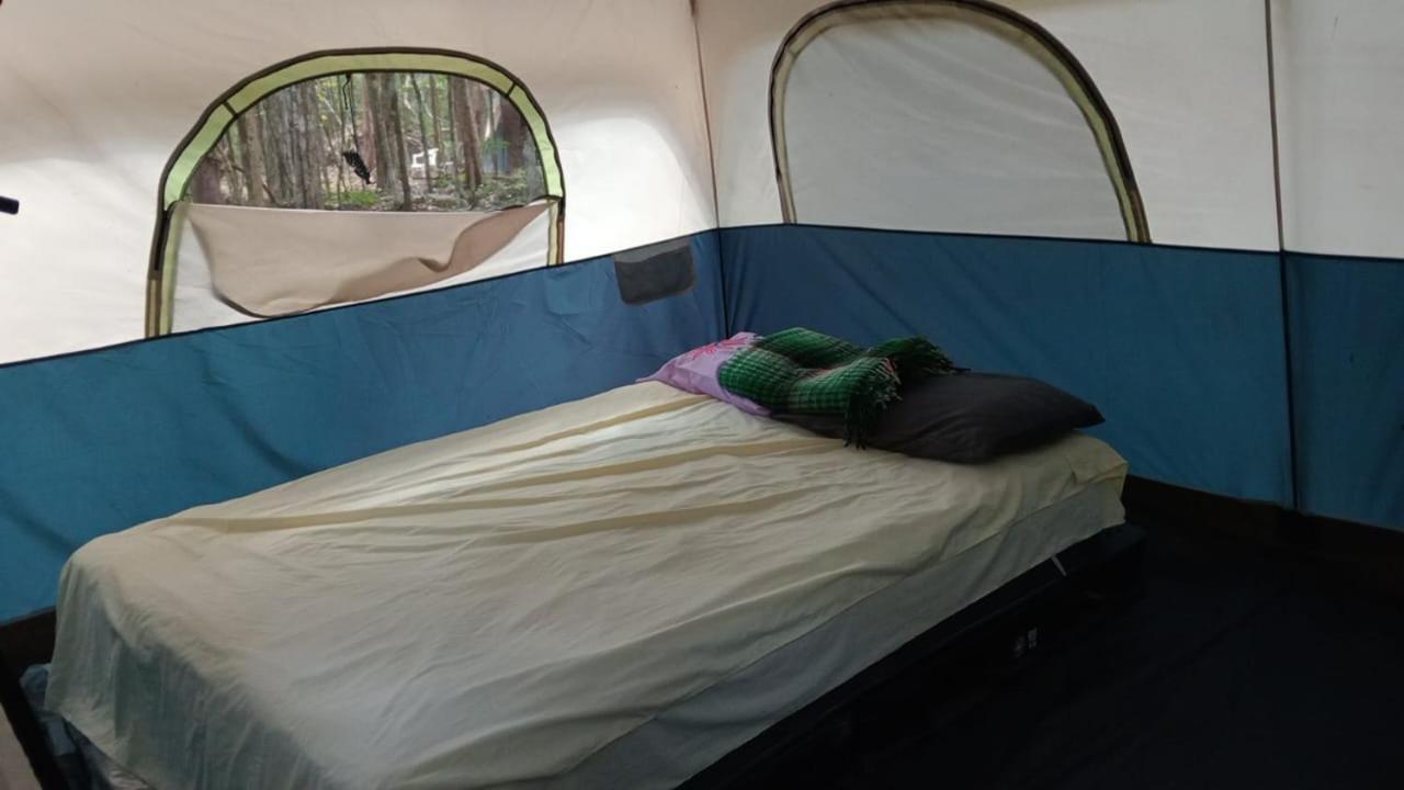 Campamento Yaax Che En Calakmul Conhuas Quarto foto
