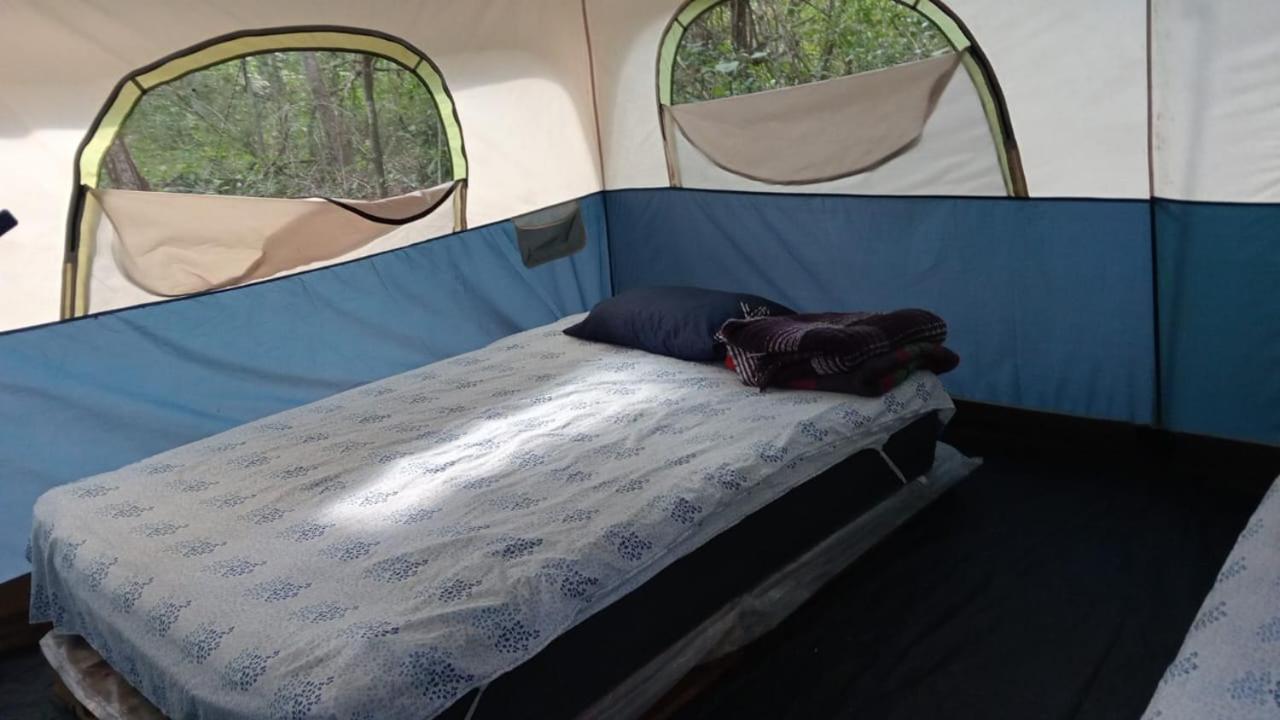 Campamento Yaax Che En Calakmul Conhuas Quarto foto